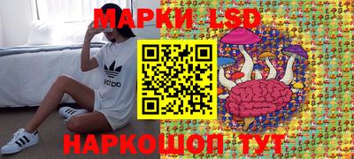 МДПВ Будённовск