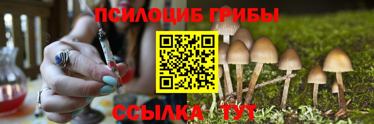 Псилоцибиновые грибы Psilocybe  Вход с VPN  Прохладный 